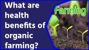 What are health benefits of organic farming?