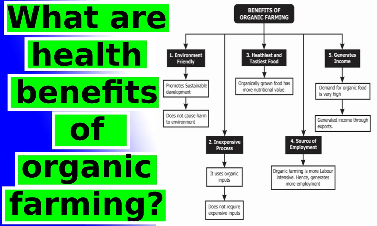 What are health benefits of organic farming?